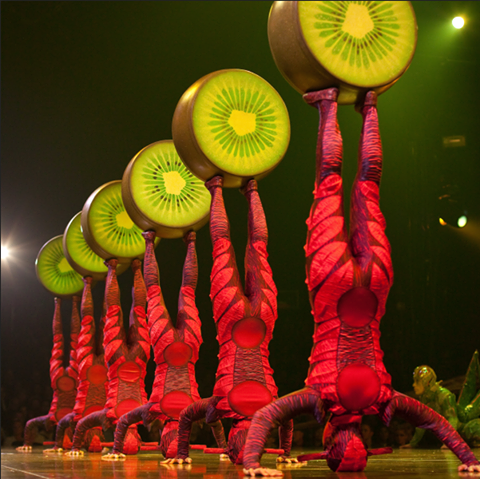 Cirque du Soleil OVO at Hampton Coliseum!