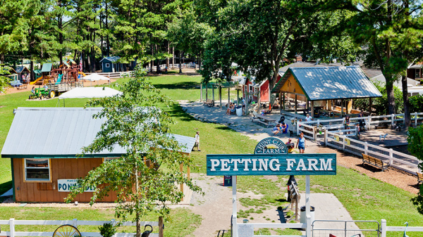 Hunt Club Farm - Virtual Education Series