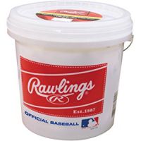 baseball bucket.jpg