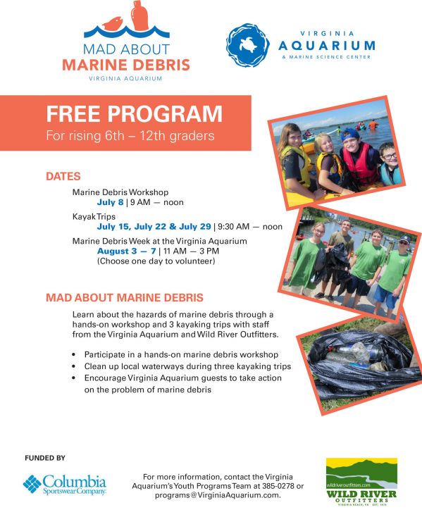 MAD flyer & application.pdf-1.jpg