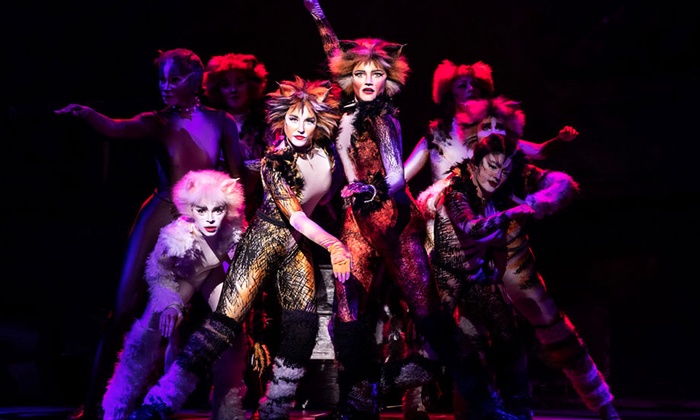 Cats the Musical