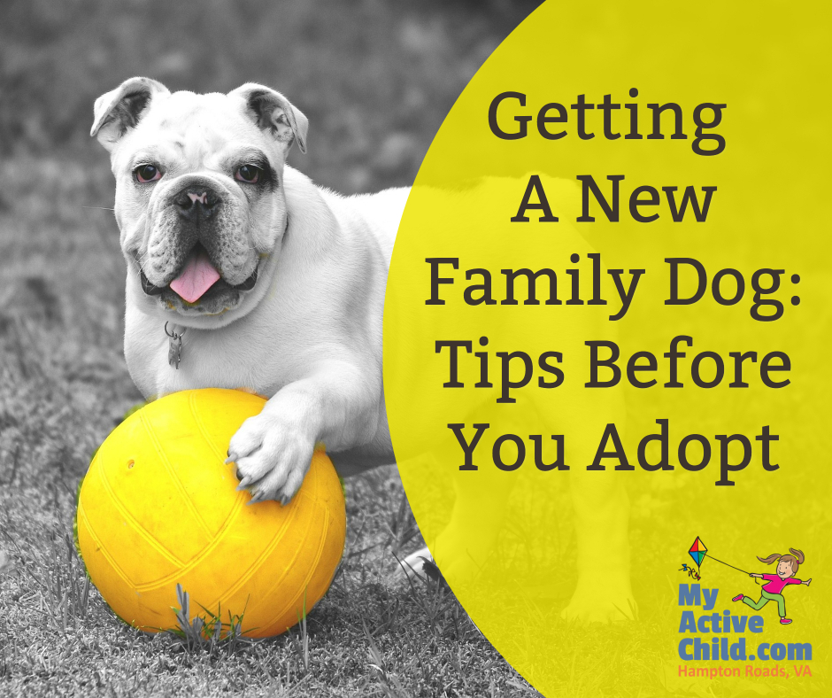 Getting A New Family Dog - Tips Before You Adopt