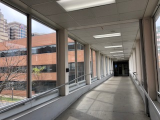 Decorate the walkway - Sentara Norfolk - COVID19