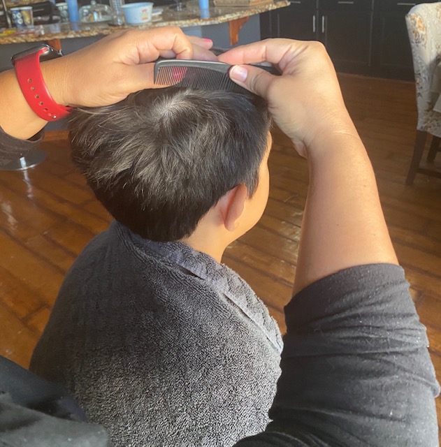 How Do I Know If My Child Has Head Lice?
