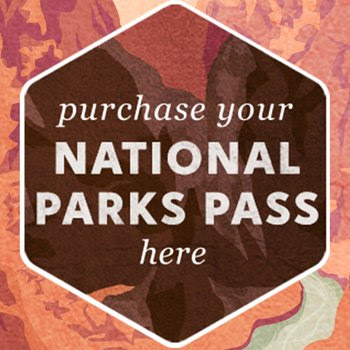 National Parks Pass zulily