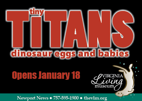 Virginia Living Museum - Tiny Titans Exhibit