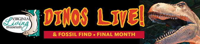 VLM_Dinos_Live_August_2014.jpg