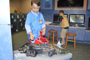Virginia Living Museum Wild and Well Exhibit VLM-WildandWell-Landon-2.jpg