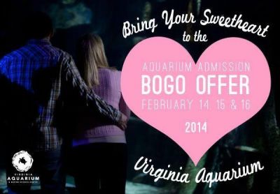 Aquarium_BOGO.jpg