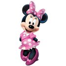 minnie.jpg
