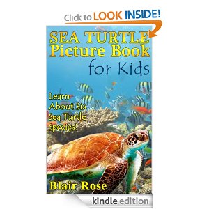 sea_turtle_book.jpg