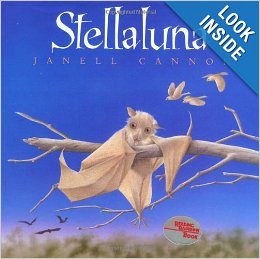 stellaluna.jpg