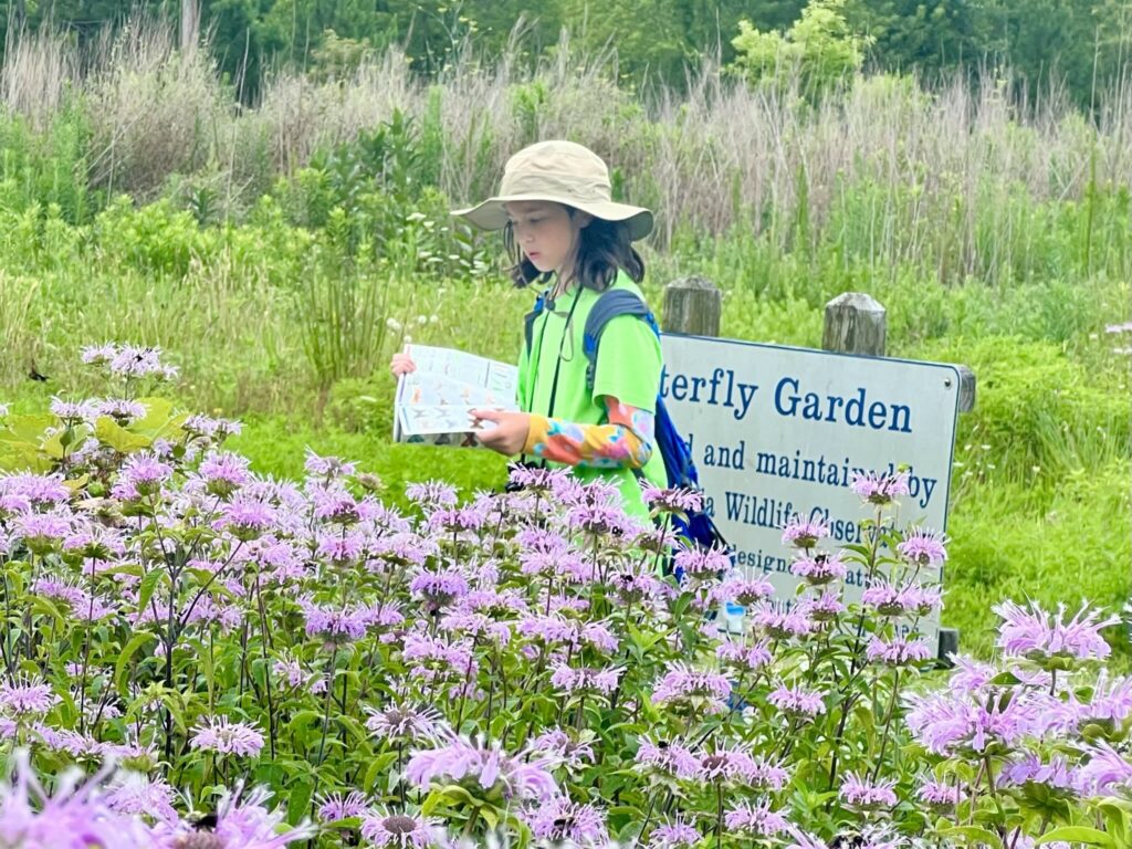 The Nature Bus Summer Camp Virginia Beach