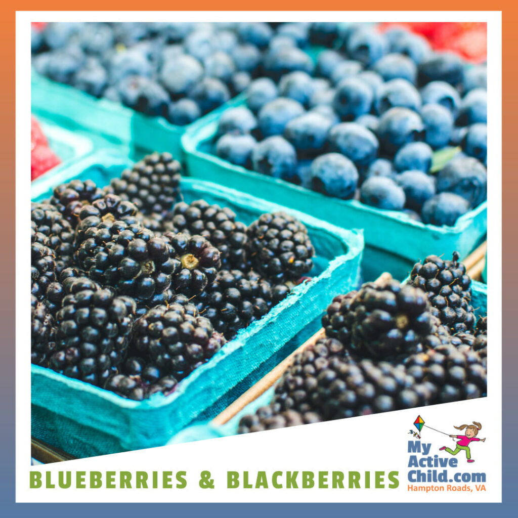Blueberries & Blackberries in Hampton Roads VA