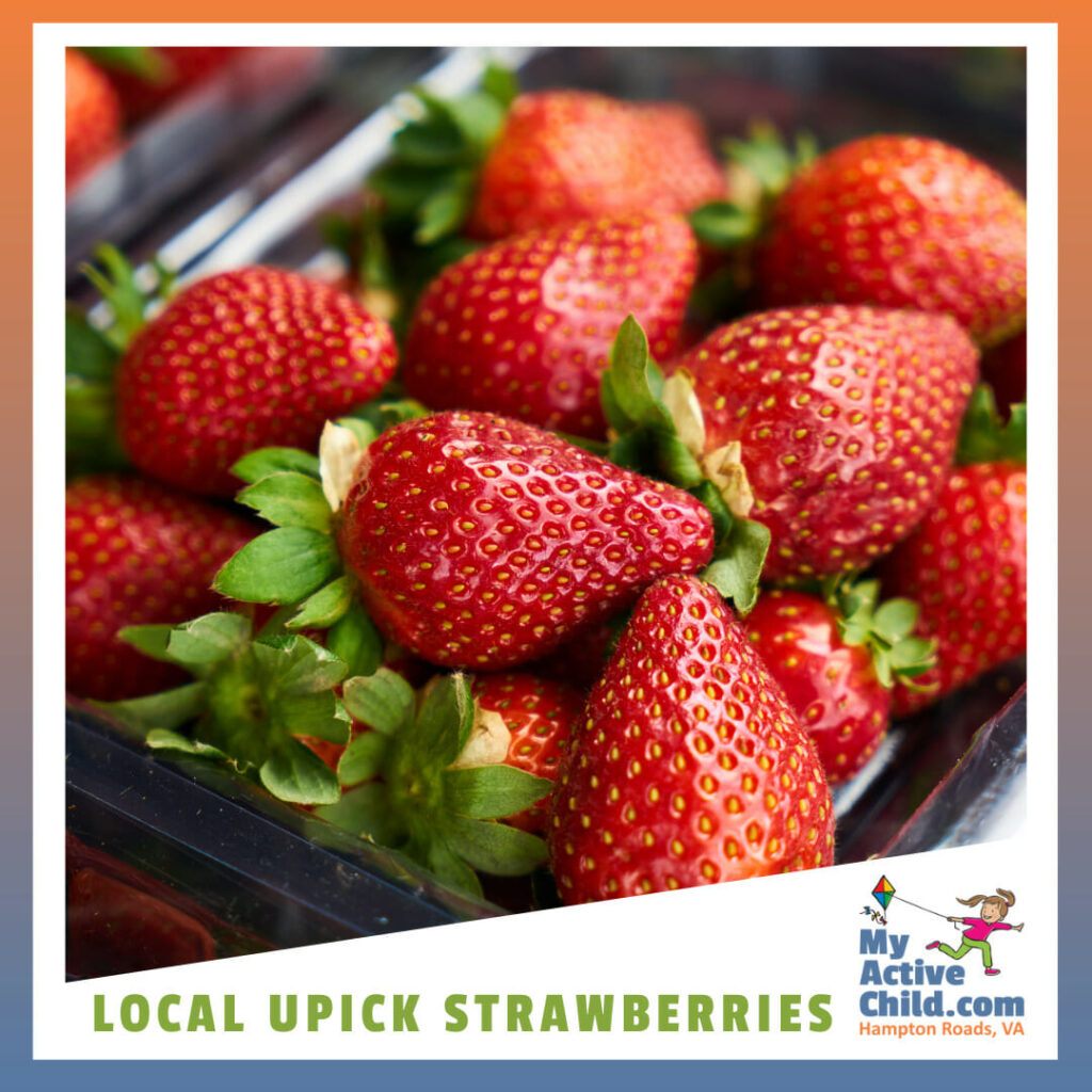 Local Upick Strawberries MyActiveChild