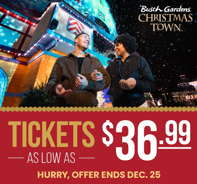 SALE ON CHRISTMAS TOWN