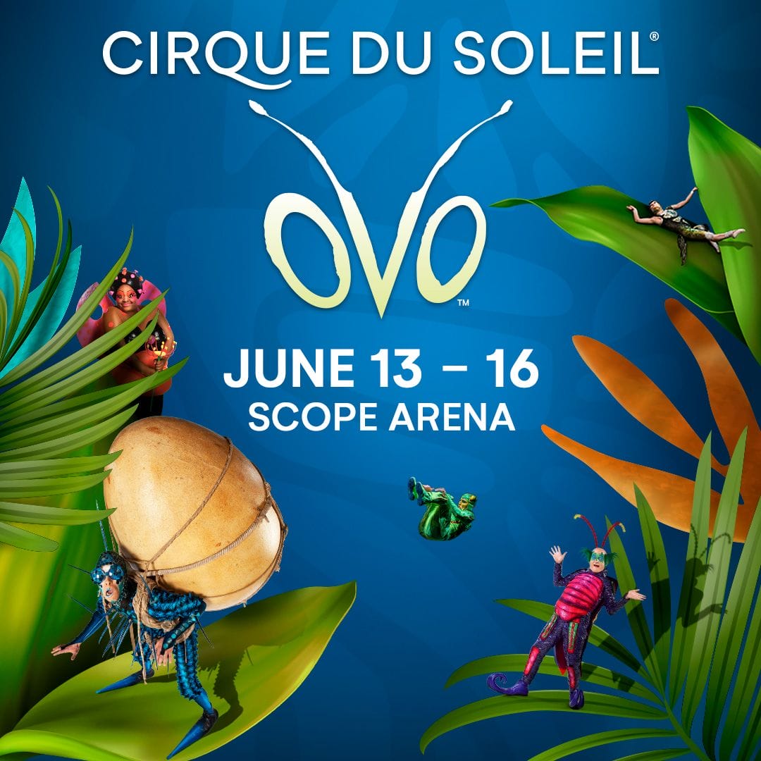cirque du soleil OVO 2024
