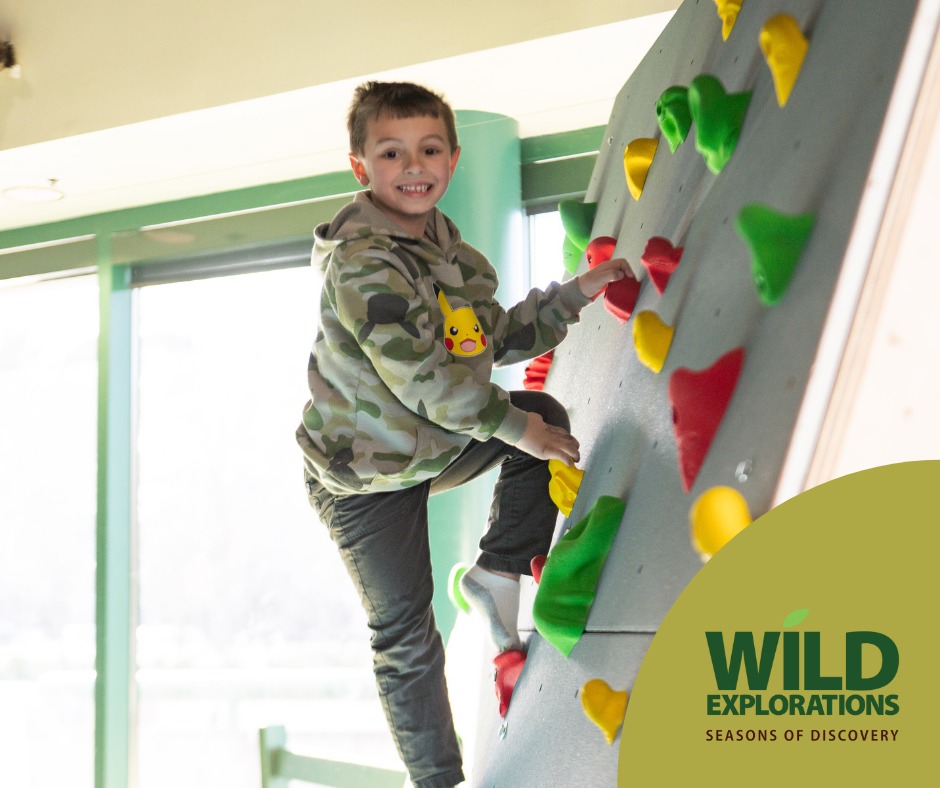 Wild Explorations Seasons of Discovery at VLM3