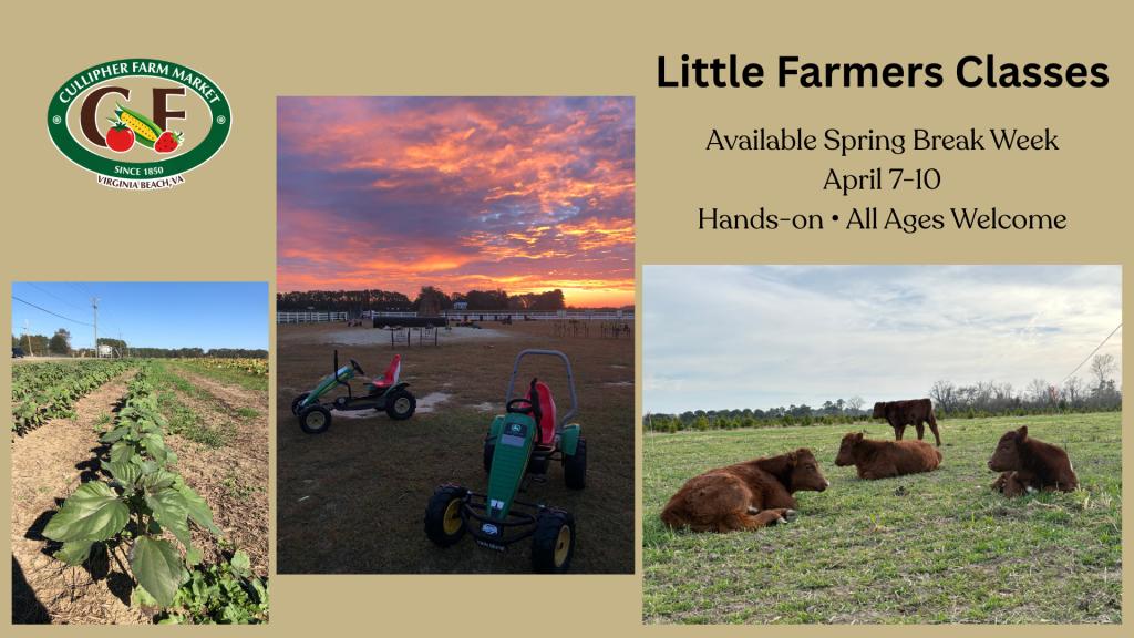Little Farmers Classes at Cullipher Farm