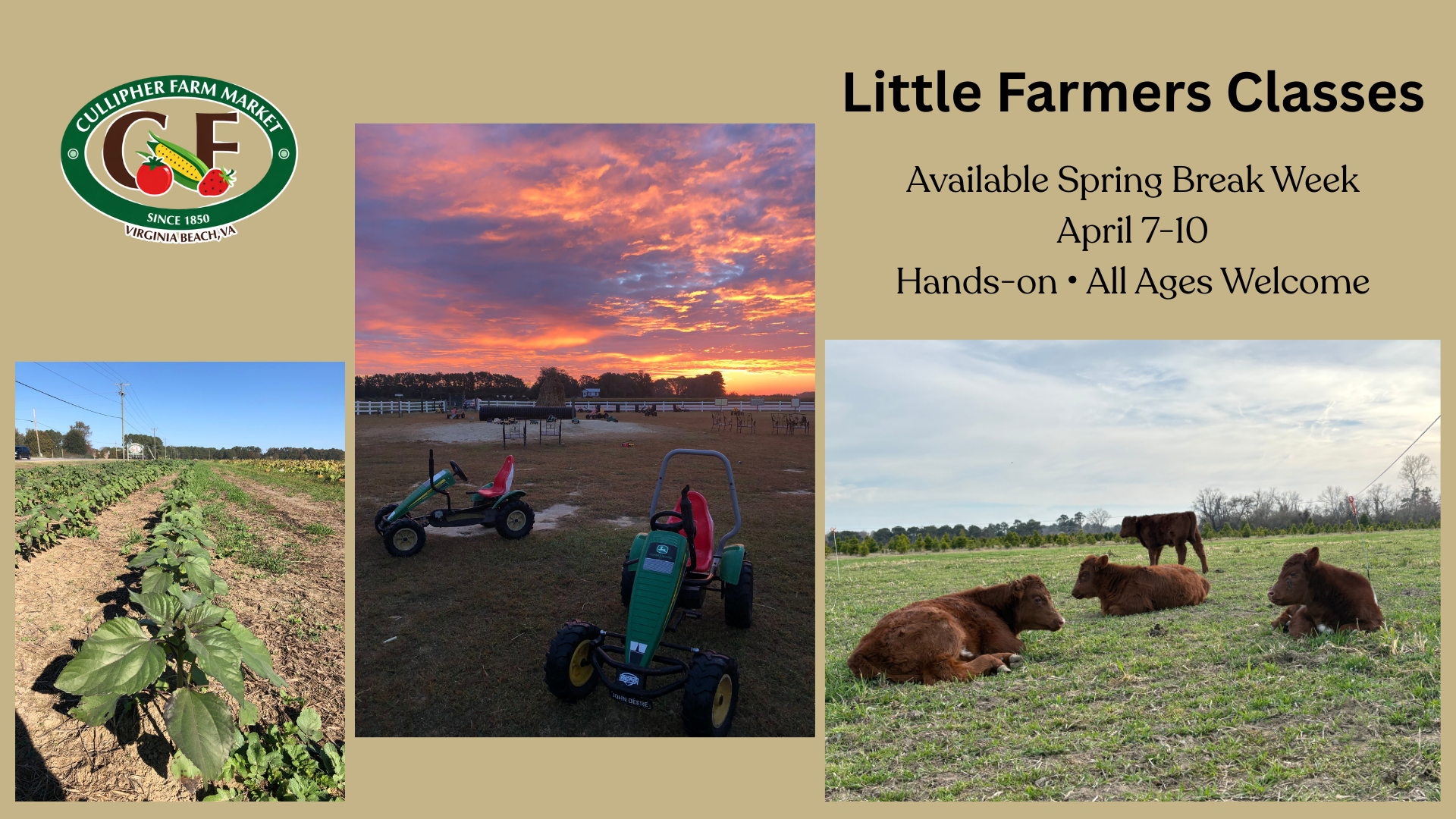 Little Farmers Classes at Cullipher Farm